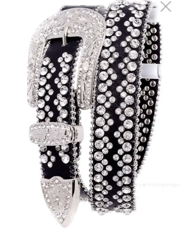 A close up of a belt with diamonds on it